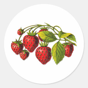 Frische Erdbeeren Runder Aufkleber