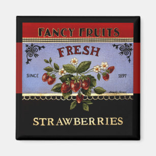 Frische Erdbeeren Vintage Magnet
