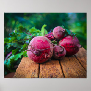 Frische Ernte Rüben verwitterter Holztisch Poster