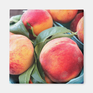 Frische Frucht - Pfirsich-Magnet Magnet