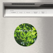 Frische Frühlingsgrüne Blätter. Naturfotografie. Magnet (In Situ (Geschirrspüler))