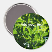 Frische Frühlingsgrüne Blätter. Naturfotografie. Magnet (Vorderseite/Rückseite)