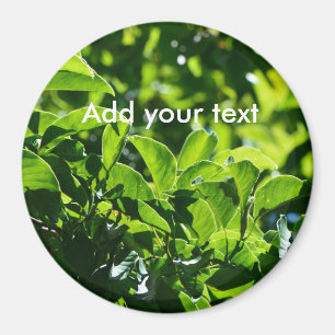 Frische Frühlingsgrüne Blätter. Naturfotografie. Magnet