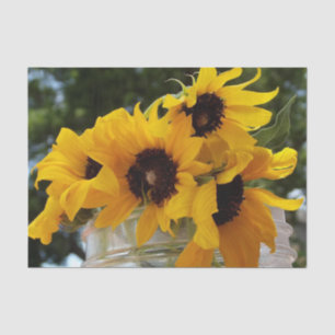 Frische gelbe Sonnenblumen in einem Jar Seidenpapier