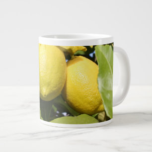 Frische gelbe Zitronen an einem Baum Jumbo-Tasse