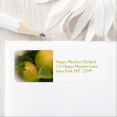 Frische grüne Äpfel mit fehlender Grenze (Insitu)