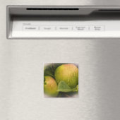Frische grüne Äpfel mit fehlender Grenze Magnet (In Situ (Geschirrspüler))