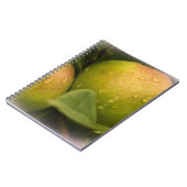 Frische grüne Äpfel mit Regentropfen Notizblock (Linke Seite)