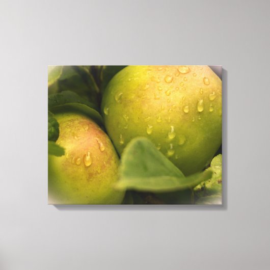 Frische grüne Äpfel mit Wassertropfen Leinwanddruck (Vorderseite)