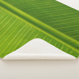 Frische grüne Bananenblätter Sherpadecke