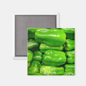Frische grüne Capsicum Magnet (Vorderseite/Rückseite)
