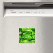 Frische grüne Capsicum Magnet (In Situ (Geschirrspüler))