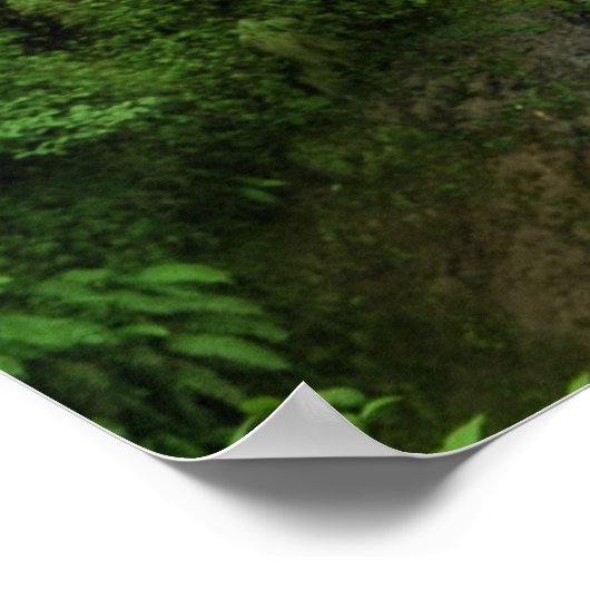 Frische grüne Gewässer Poster (Ecke)