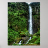 Frische grüne Gewässer Poster (Vorne)