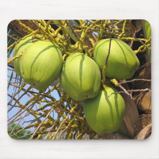 Frische grüne Kokosnüsse Mousepad (Vorne)