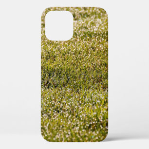 Frische grüne Rasenfläche mit Kakteen Case-Mate iPhone Hülle