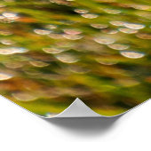 Frische grüne Rasenfläche mit Kakteen Poster (Ecke)