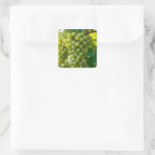 Frische grüne Traube Quadratischer Aufkleber (Tasche)