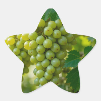 Frische grüne Traube Stern-Aufkleber