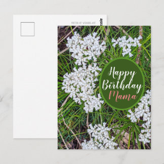 Frische grüne und weiße Blumen Alles Gute zum Gebu Postkarte