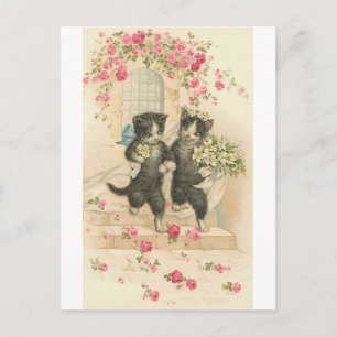 Frische Hochzeitskätzchen Postkarte