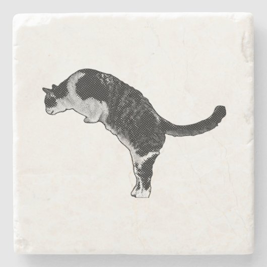 Frische Katzenenergie Steinuntersetzer (Vorderseite)