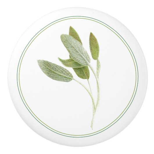 FRISCHE Keramik Keramikknauf (Vorderseite)