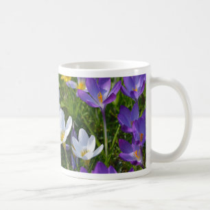 Frische Krokusse in verschiedenen Farben Kaffeetasse