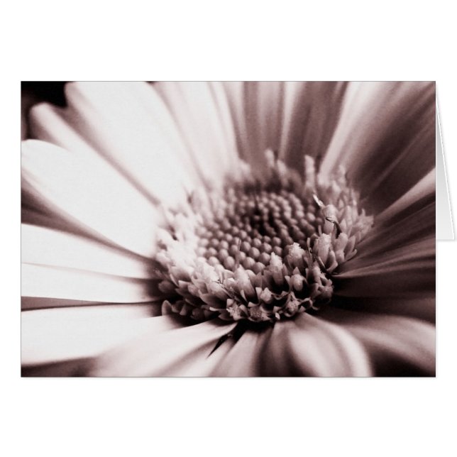 Frische Orange-Karte (Mono-Karte) (Vorderseite (Horizontal))