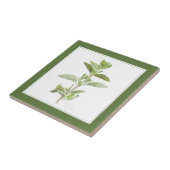FRISCHE OREGANO 4.25 Keramik Tile (-text) Grün Fliese (Seite)