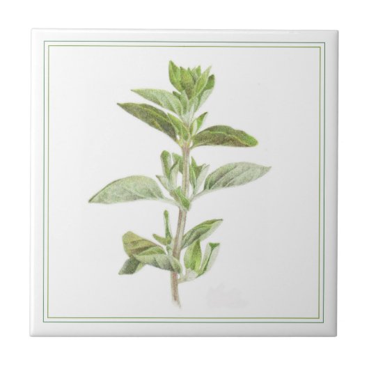 FRISCHE OREGANO 4.25x4.25-Keramik-Datei (-text) Fliese (Vorderseite)