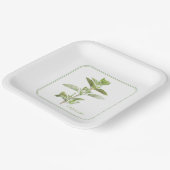 FRISCHE OREGANO 9" Square Paper Tellers Pappteller (Gewinkelt)