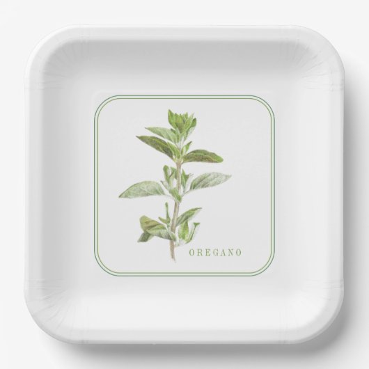 FRISCHE OREGANO 9" Square Paper Tellers Pappteller (Vorderseite)