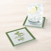 FRISCHE OREGANO Glasgetränkekappe (-text) Grün Glasuntersetzer (Schrägansicht)