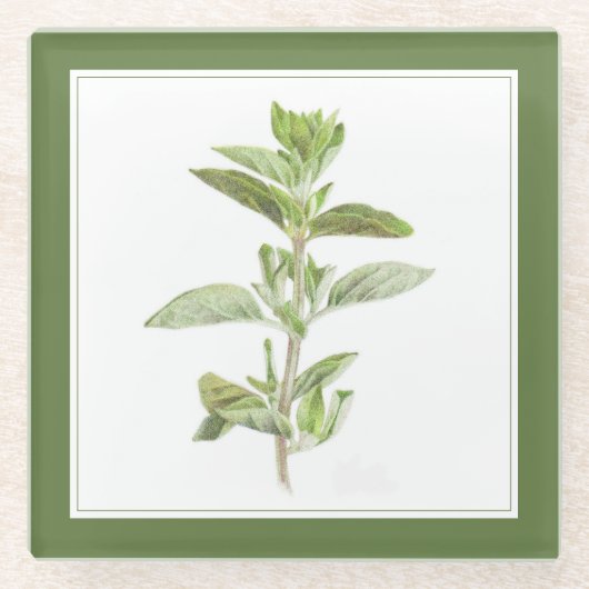 FRISCHE OREGANO Glasgetränkekappe (-text) Grün Glasuntersetzer (Vorderseite)
