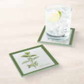 FRISCHE OREGANO Glasgetränkekappe (+text) Grün Glasuntersetzer (Schrägansicht)