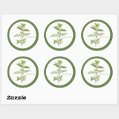 FRISCHE OREGANO Große runde Sticker (+Text) Grün (Blatt)