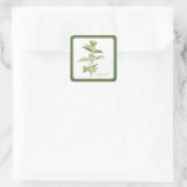 FRISCHE OREGANO Kleine Quadrat-Aufkleber (+Text) G Quadratischer Aufkleber (Tasche)