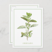 FRISCHE OREGANO Postkarte (Vorne/Hinten)