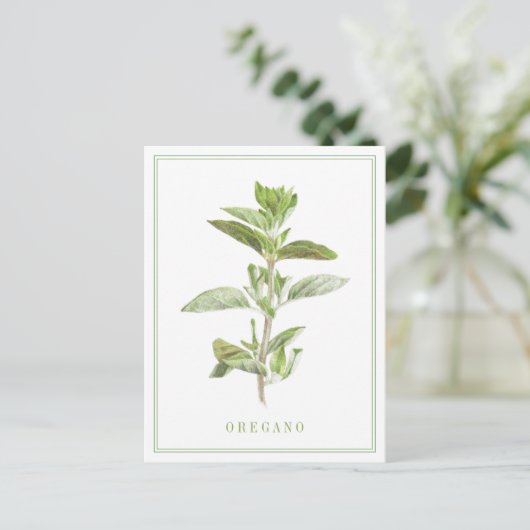 FRISCHE OREGANO Postkarte (Stehend Vorderseite)