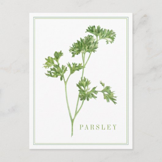 FRISCHE PARSLEY Postkarte (Vorderseite)