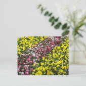 Frische Pasta machen Postkarte (Stehend Vorderseite)