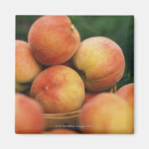 Frische Pfirsiche Magnet