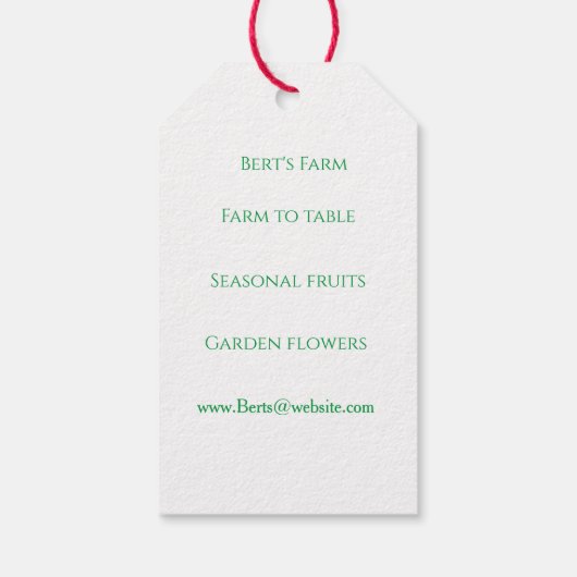 Frische Pfirsichfarbe Geschenkanhänger (Rückseite)