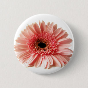 Frische Pinke Gerbera-Daisy-Fotografie Button