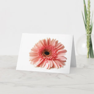 Frische Pinke Gerbera-Daisy-Fotografie Feiertagskarte