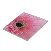 Frische Pinke Gerbera-Daisy-Fotografie Fliese (Seite)