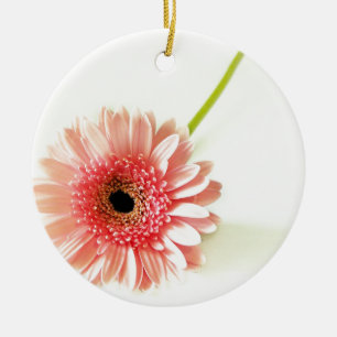 Frische Pinke Gerbera-Daisy-Fotografie Keramikornament