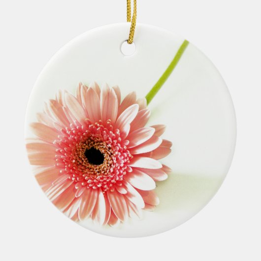 Frische Pinke Gerbera-Daisy-Fotografie Keramikornament (Vorne)