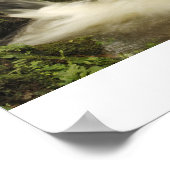 frische Quellwasser im Schwarzwald Poster (Ecke)